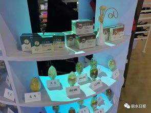 借力國(guó)際展會(huì)，麗水產(chǎn)品與平臺(tái)服務(wù)雙雙走出國(guó)門 理念先行如何精準(zhǔn)匹配外商胃口？